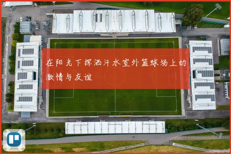 在阳光下挥洒汗水室外篮球场上的激情与友谊