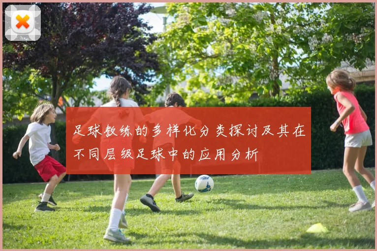 足球教练的多样化分类探讨及其在不同层级足球中的应用分析