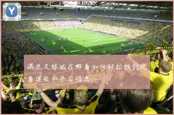 遇见足球城在哪看如何轻松找到观看途径和平台信息