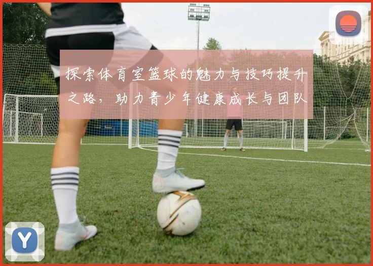 探索体育室篮球的魅力与技巧提升之路，助力青少年健康成长与团队精神培养