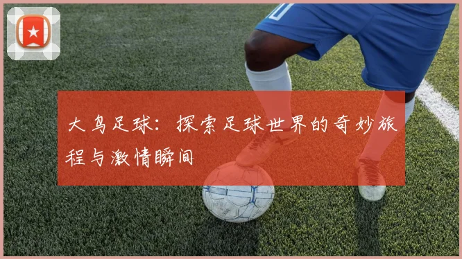 大鸟足球：探索足球世界的奇妙旅程与激情瞬间