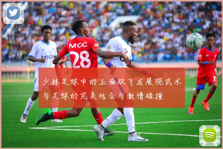 少林足球中的玉面双飞龙展现武术与足球的完美结合与激情碰撞