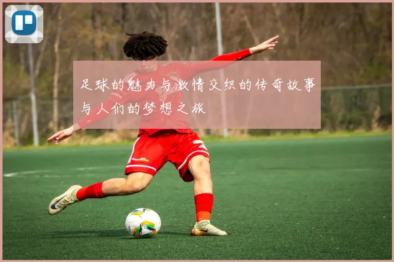 足球的魅力与激情交织的传奇故事与人们的梦想之旅