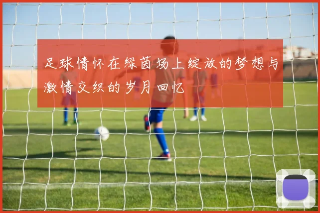 足球情怀在绿茵场上绽放的梦想与激情交织的岁月回忆