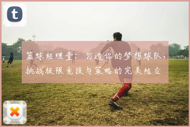 篮球经理壹：打造你的梦想球队，挑战极限竞技与策略的完美结合