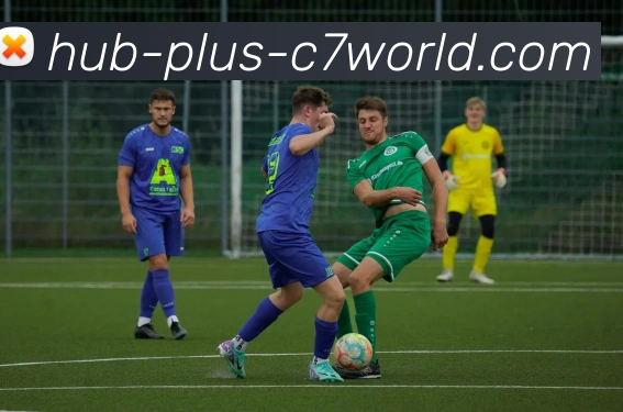 c7娱乐平台生态图